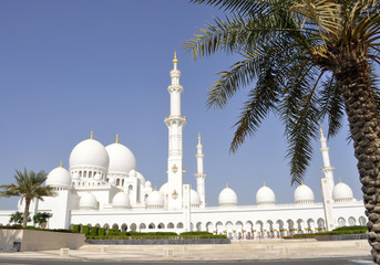 Fototapeta na wymiar Emirati Arabi Uniti. Abu Dhabi. La grande moschea Sheikh Zayed