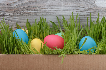 Fototapeta premium easter eggs in box with fresh grass over wood background