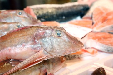 fresh fish on sale in fish market in southern Italy