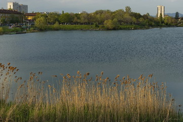 Springtime in the residential district in Drujba