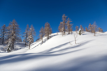 Winter landscape