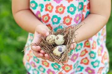 Kids arms holding nest with eggs
