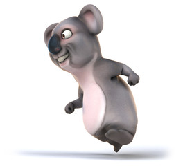 Fun koala © Julien Tromeur