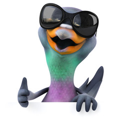 Fun pigeon