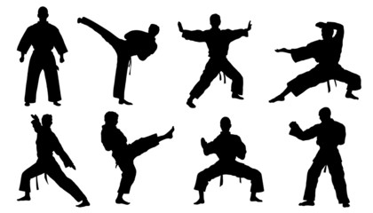 karate silhouettes - obrazy, fototapety, plakaty
