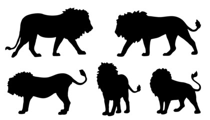 lion silhouettes