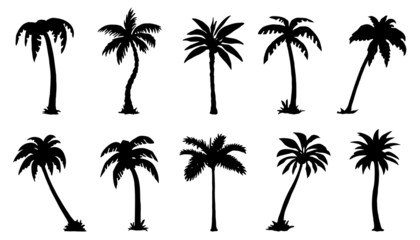 palm silhouttes - obrazy, fototapety, plakaty