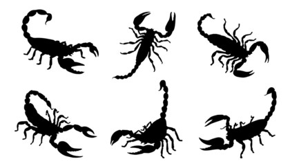 scorpion silhouettes - obrazy, fototapety, plakaty