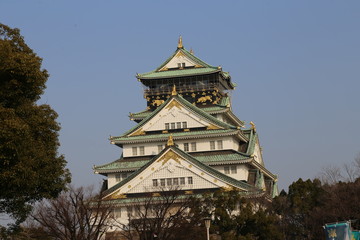Fototapeta premium Osaka Castle