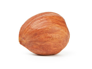organic peeled hazelnut isolated