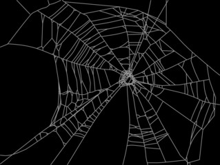 old grey web isolated on black