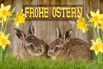 Frohe Ostern