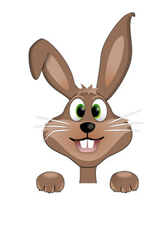 funny easter bunny #2