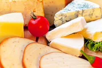 Various types of cheese composition