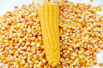 corn and tinned corn