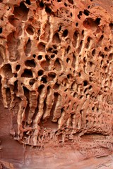 Honeycomb Gorge, Kennedy Range National Park, Western Australia