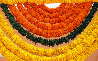 Indian festive garland of Marigold (Tagetes) flowers