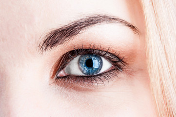 Obraz premium Female eye