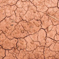 Dry soil