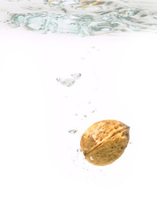 Falling walnut