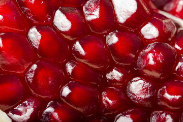Pomegranate seeds close up