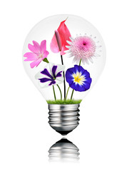 Various Colorful Flowers Growing Inside Light Bulb Isolated