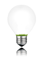 Grass Growing Inside Light Bulb Isolated