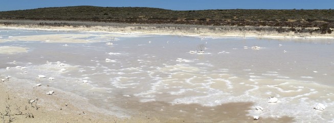 saltlake at Shark Bay World Heritage Area, Western Australia