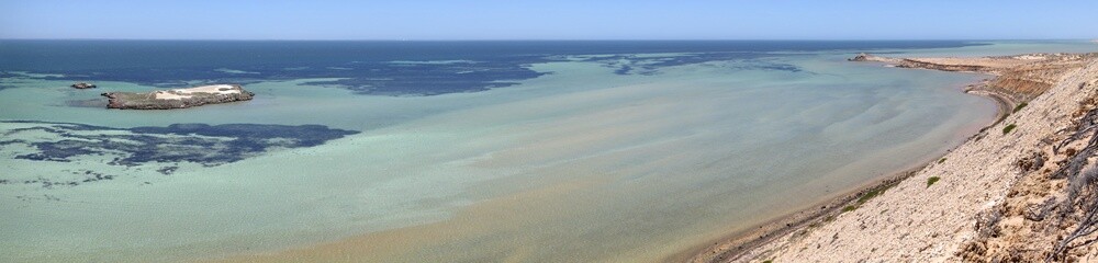 Fototapeta na wymiar shark Bay World Heritage Area, Western Australia