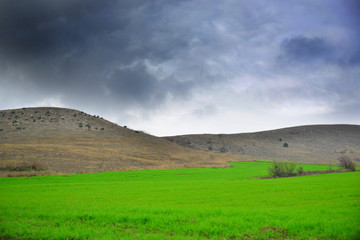 Fototapeta premium Green meadow landscape