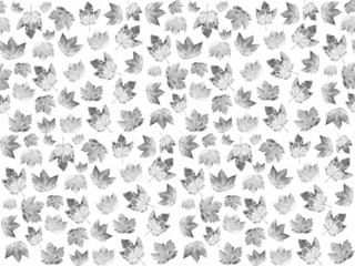 Hintergrund Ahornblätter, schwarzweiß