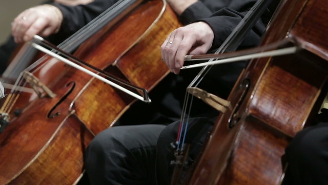 violin concert