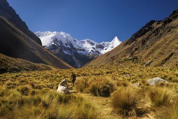 Foto auf Acrylglas Alpamayo Peruanische Anden