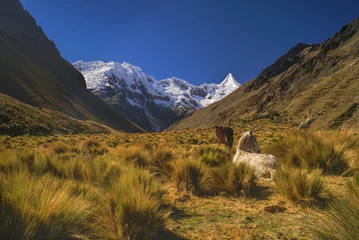 Cercles muraux Alpamayo Peruvian Andes
