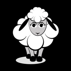 Cute sheep