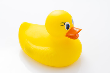 Yellow rubber duck on White Background