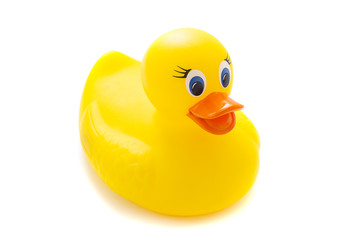 Yellow rubber duck on White Background