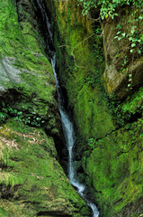 Green waterfall