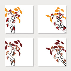 set of four cards with red chokeberry branches
