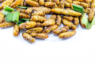 Fried Silk Worms