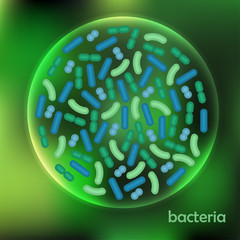Bacteria. Vector.