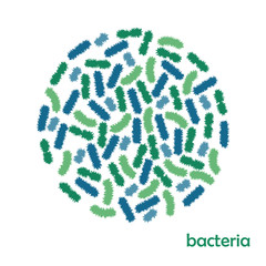 Bacteria. Vector.