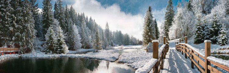 Fototapety  Zimowy las w Karpatach