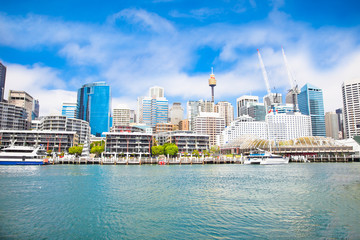 City scape of Darling Harbour in Sydney, Australia. - obrazy, fototapety, plakaty