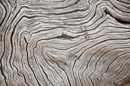 Wood texture