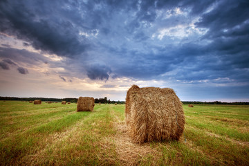 Fototapeta premium Hay bales at sunset