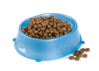 Cat food in a bowl