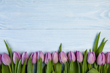  Tulips on wood background
