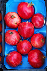 Pomegrenate