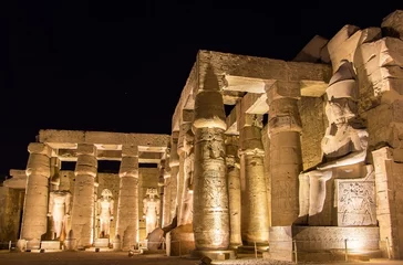 Foto op Plexiglas Luxor temple at night - Egypt © Leonid Andronov